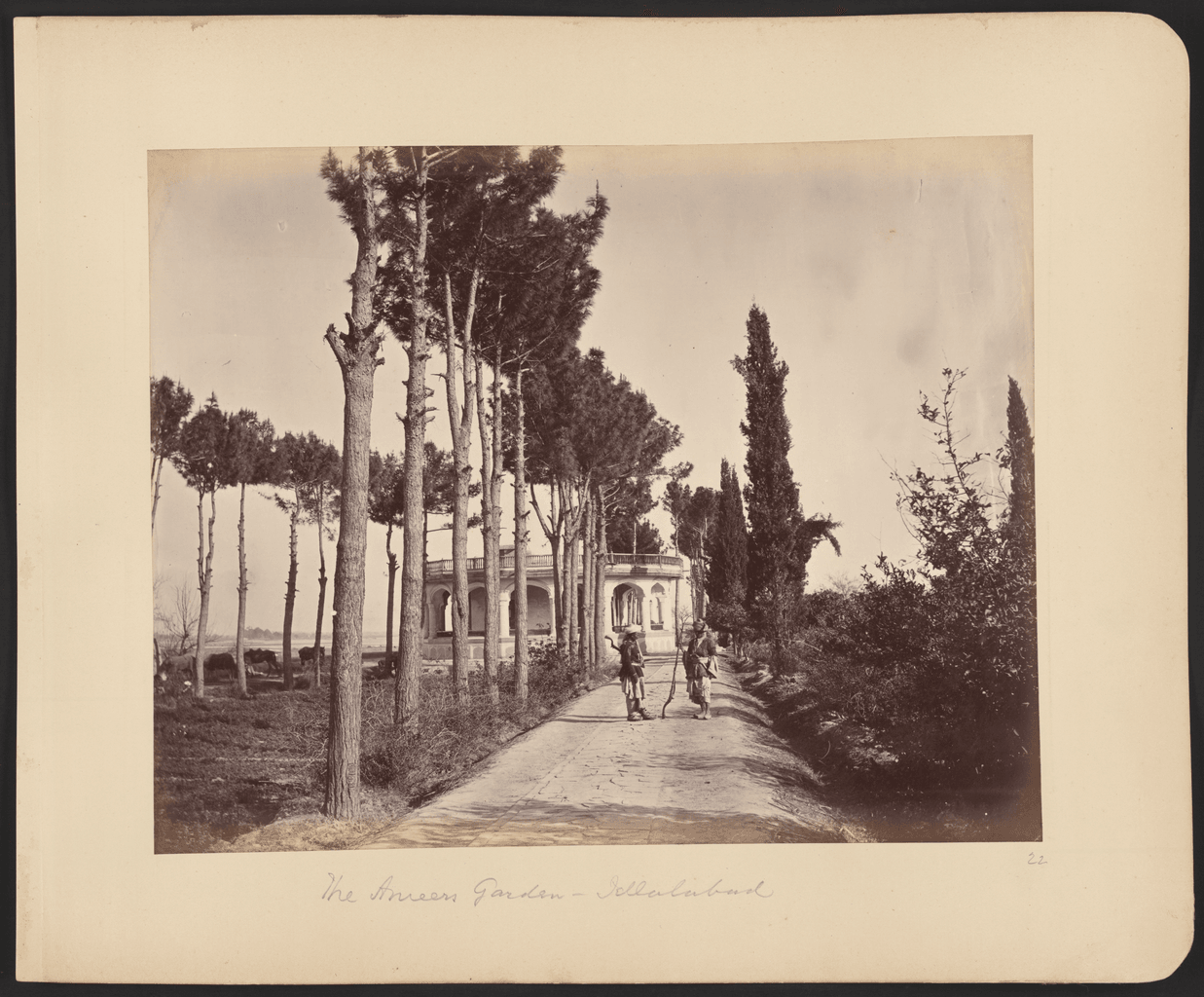 A black-and-white photograph of trees and walls in the amir's garden at Jalalabad.