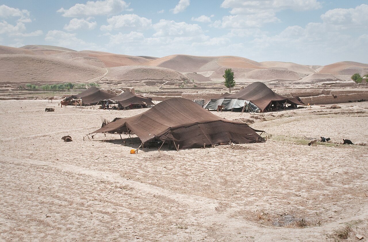 Dark tents of Kuchi nomads on open ground in Badghis province.