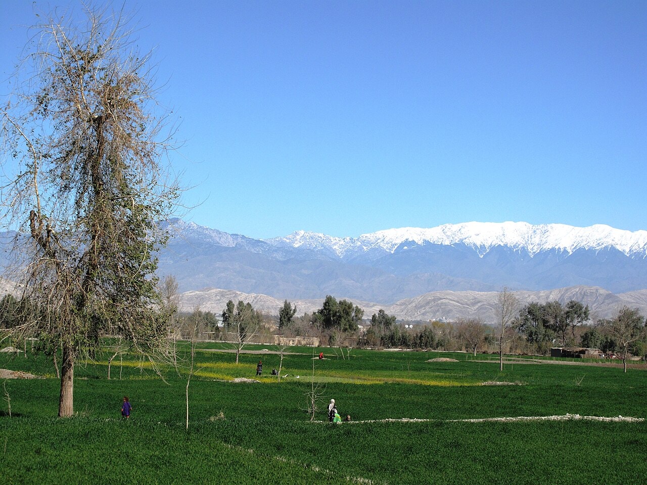 The snow-capped Spin Ghar (White Mountains) seen from the Jalalabad–Islamabad highway.