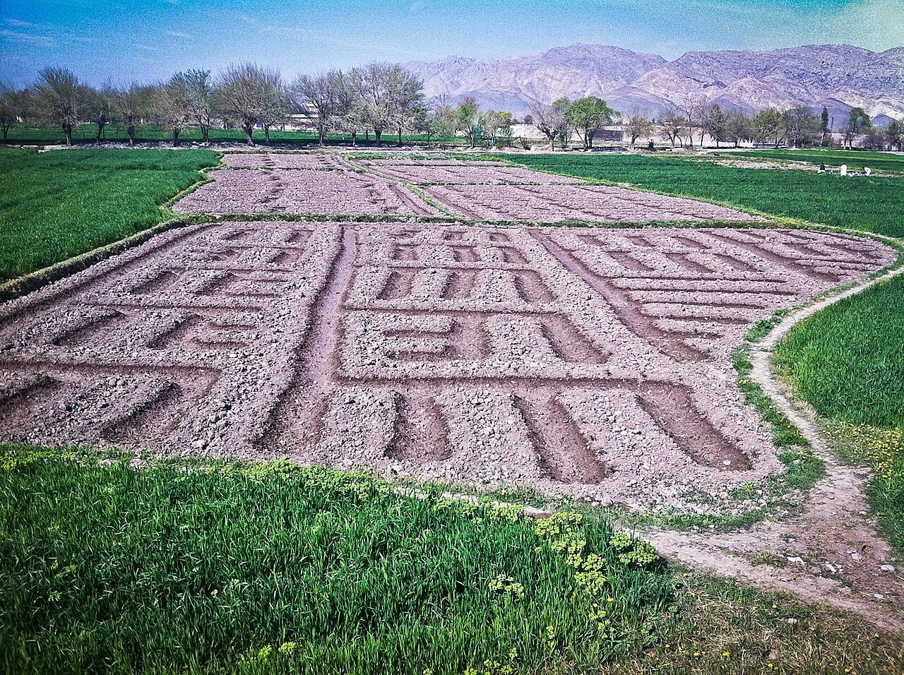 Green irrigated fields near Jalalabad.