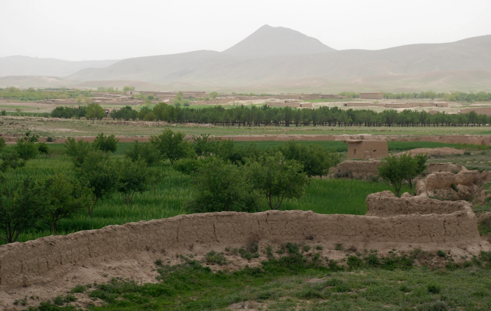 Wide valley floor around Qalat with mountains on the horizon