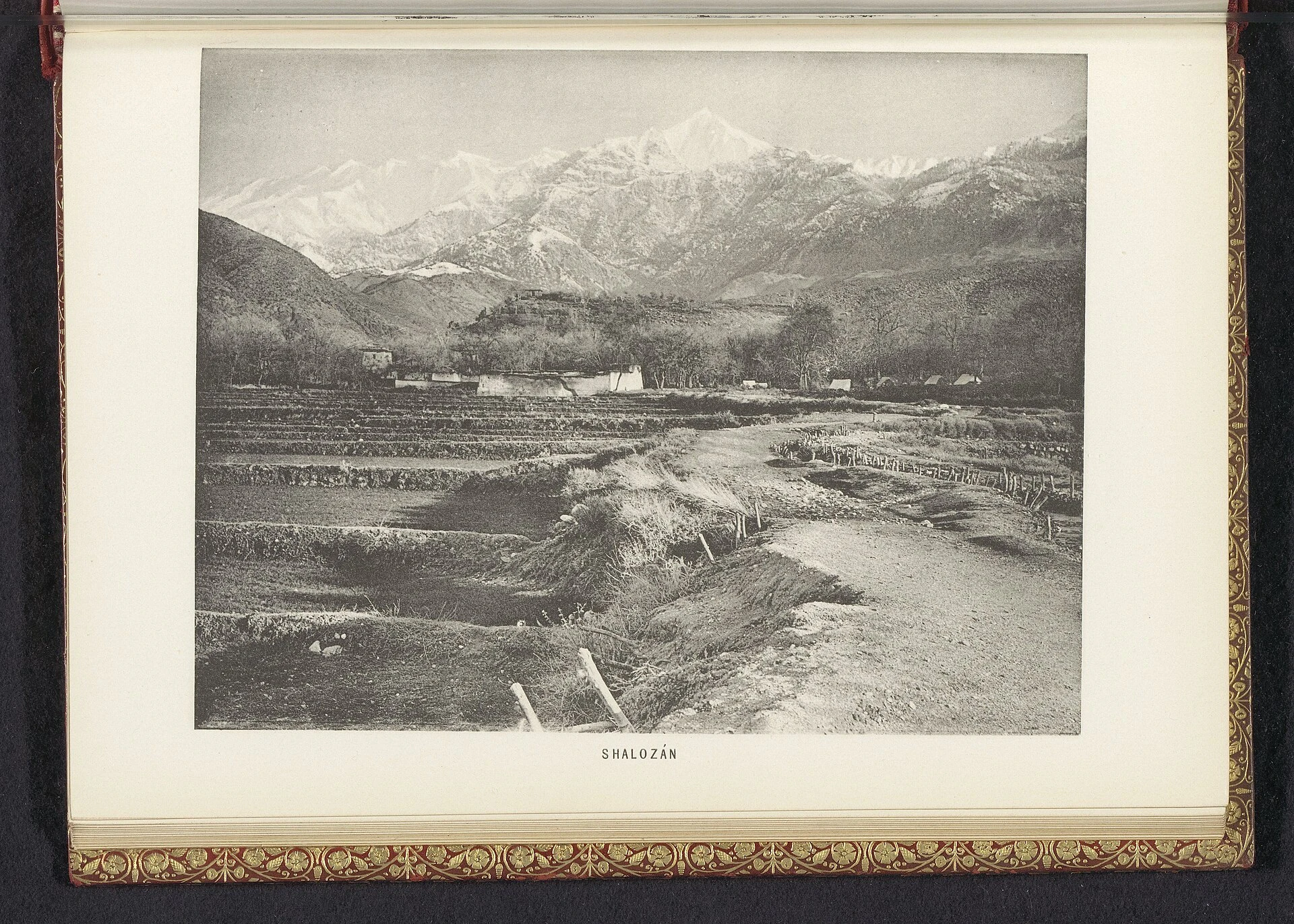 A village of flat-roofed houses among trees below wooded mountains