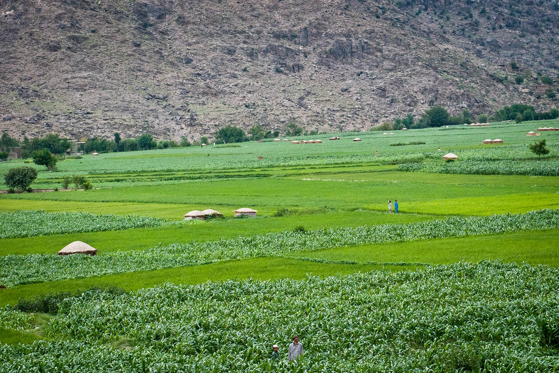 Villagers working in green terraced fields in a mountain valley
