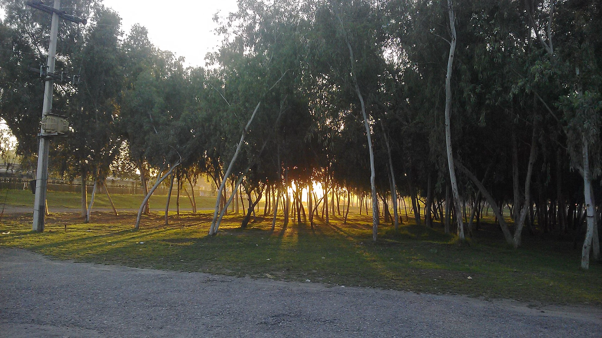 Evening sun seen through trees at Akora Khattak