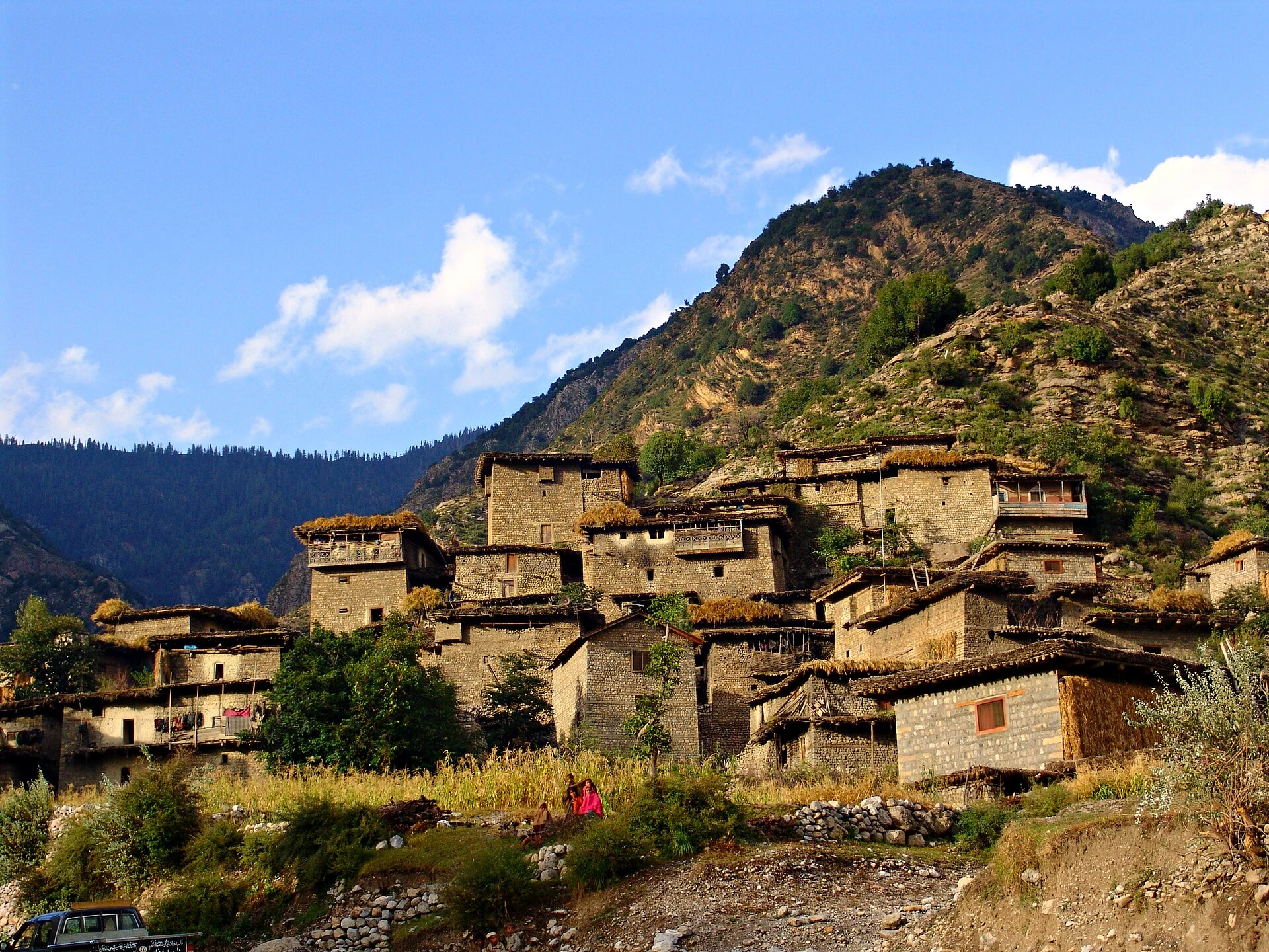 Flat-roofed stone and mud houses stacked on a wooded hillside